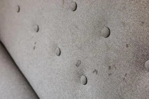 dust pollution on sofa