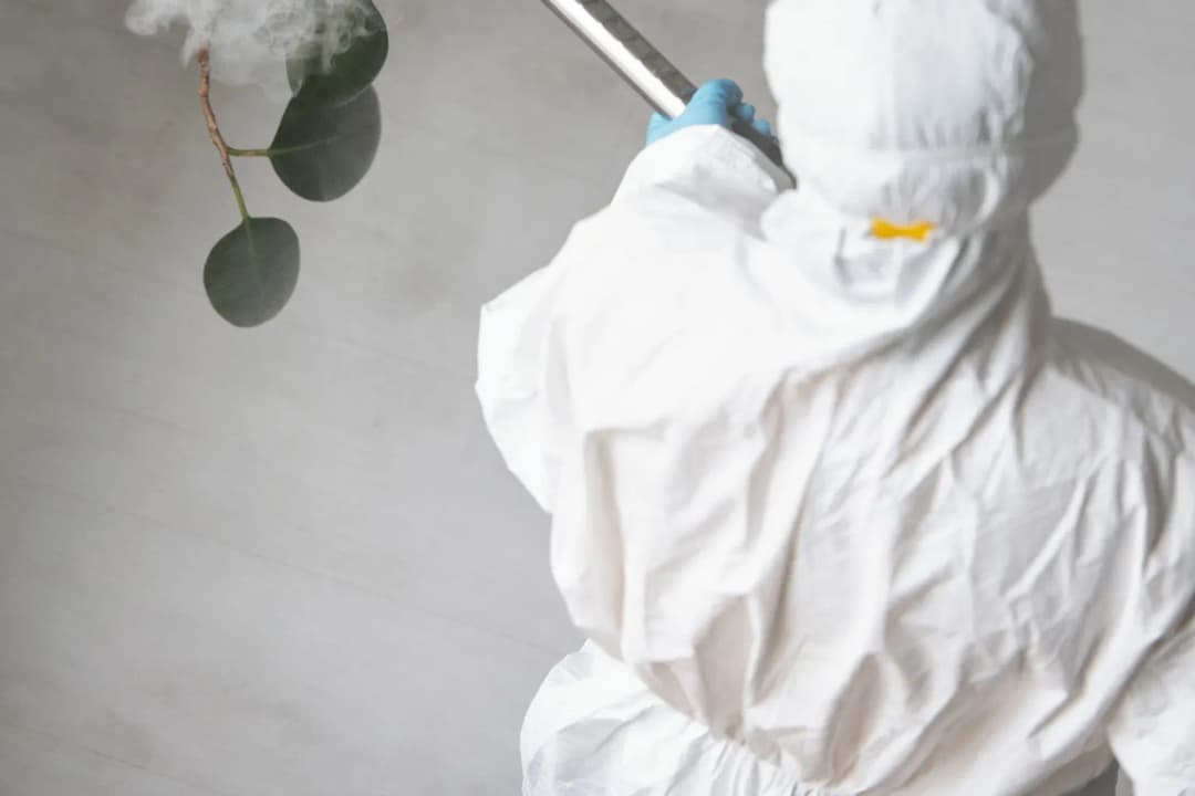 Pest Control Services in Delhi in Delhi NCR