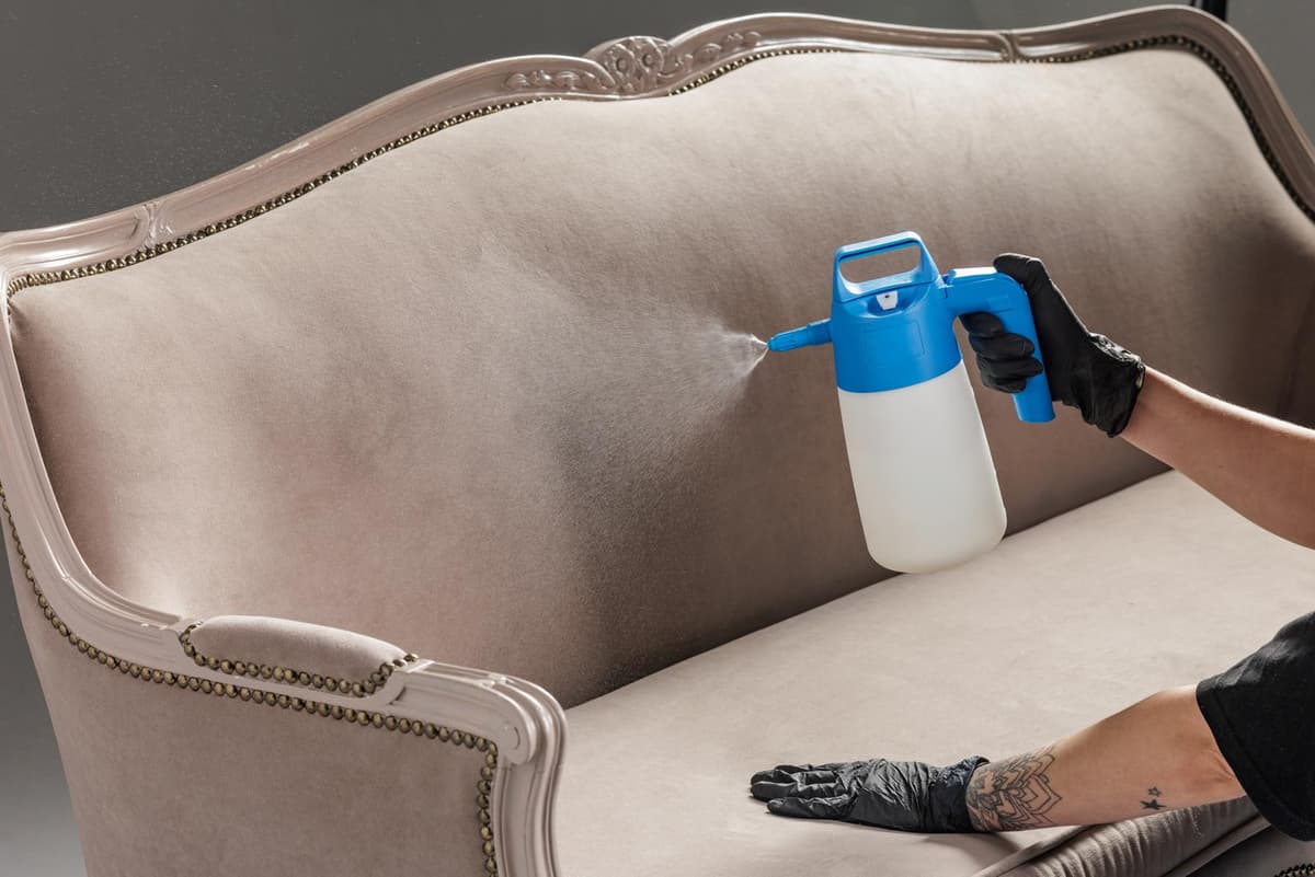 professional sofa cleaning technician