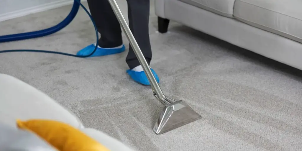 Steam carpet cleaning in Delhi using hot water extraction — removes embedded bacteria and allergens